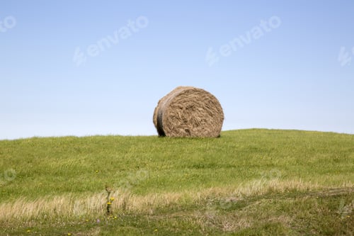 Preview: Stack Of Hay In Field, Anglesey; Wales; Uk