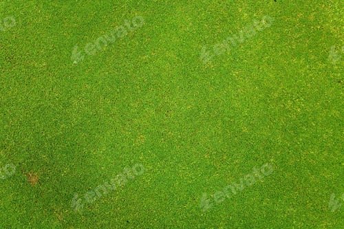 Preview: Green Grass Texture Taken On A Golf Course So The Grass Is Very Nice And Even