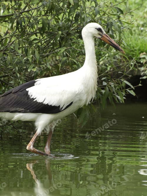 Preview: Storks