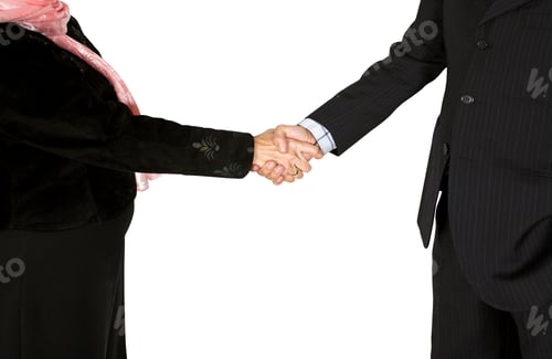 Preview: Business Couple Shaking Hands Over A White Background - Full Bodies