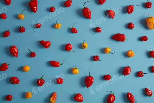 Preview: Sweet Red And Yellow Pepper Belongs To Nightshade Family On Blue Background. Ingredients Ready To