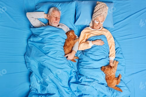 Preview: Healthy Sleep Concept. Woman And Man Pet Owners Have Healthy Nap In Comfortable Bed Have Restful