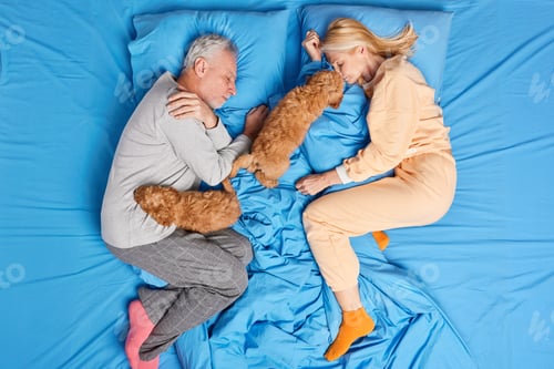Preview: Top View Of Middle Aged Couple Have Rest In Bed Sleep Deeply Together With Favorite Pets Enjoy