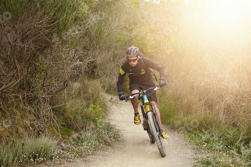 Preview: Feeling Life And Adrenaline. Risky Extreme Rider Cycling Among Trees In Forest On Sunny Day