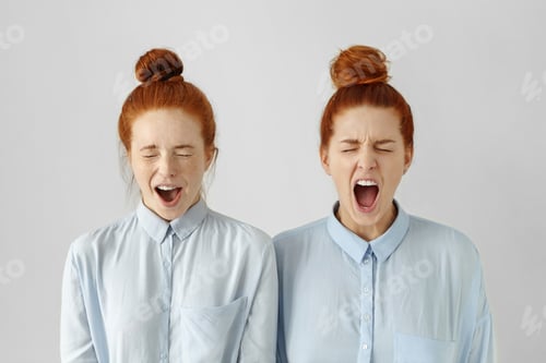 Preview: Indoor Shot Of Furious Young European Women Wearing Identical Hairstyles And Formal Wear, Screaming
