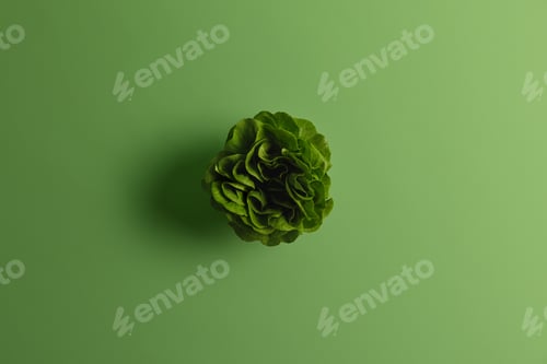 Preview: Green Fresh Chinese Cabbage Or Bok Choy With Many Leaves Photographed From Above. Plant Based Food