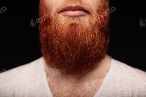 Preview: Closeup Of Long Red Beard And Mustache Man