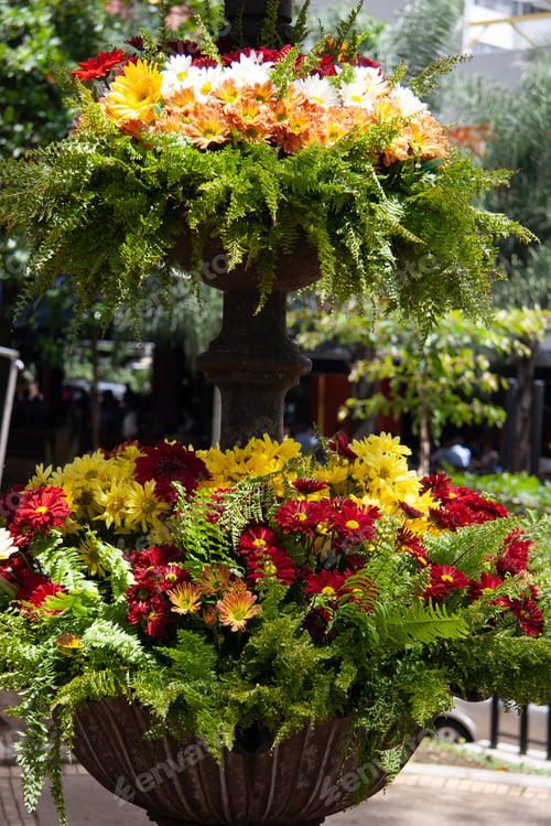 Preview: Fountain In Lleras Park