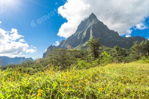Preview: Moorea Island In The French Polynesia.