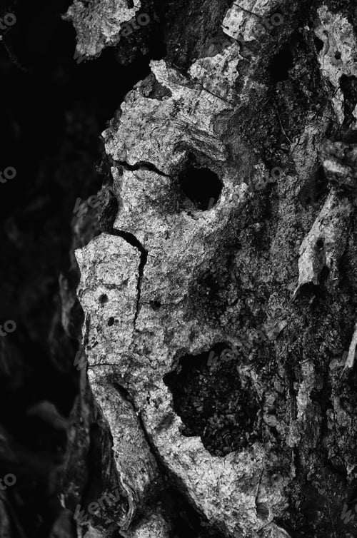 Preview: A Vertical Greyscale Of Rock Formations Under The Sunlight - Perfect For Backgrounds