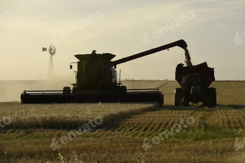 Preview: Harvester Machine, Harvesting In The Argentine Countryside, Buenos Aires Province, Argentina.