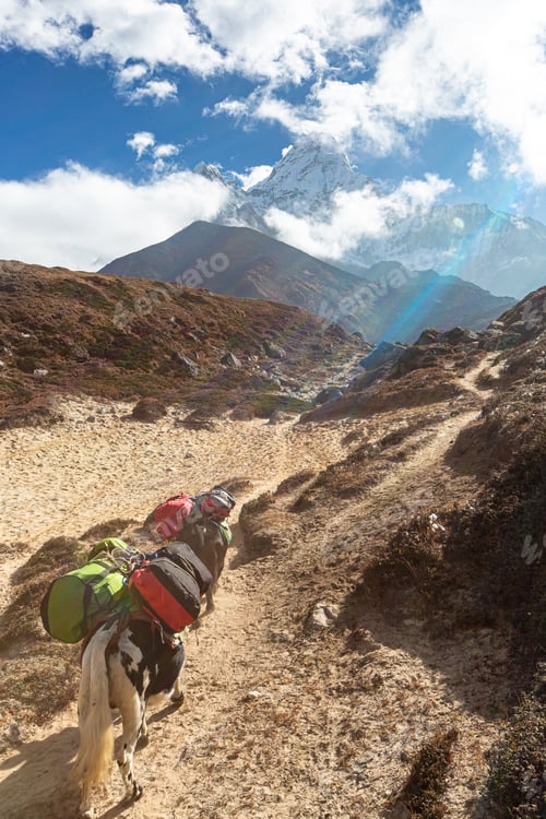 Preview: Ama Dablam Mountain. Trekking Everest Base Camp. Nepal. Asia.