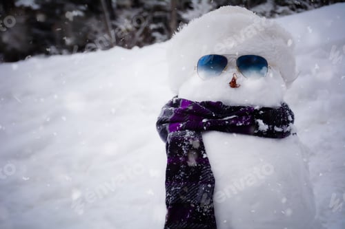 Preview: Cute Snowman With A Cap And A Scarf In Winter Landscape.