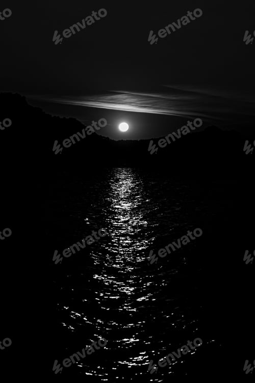 Preview: A Greyscale Of A Sea With Tree Silhouettes On The Background And The Sun Reflecting On The Water