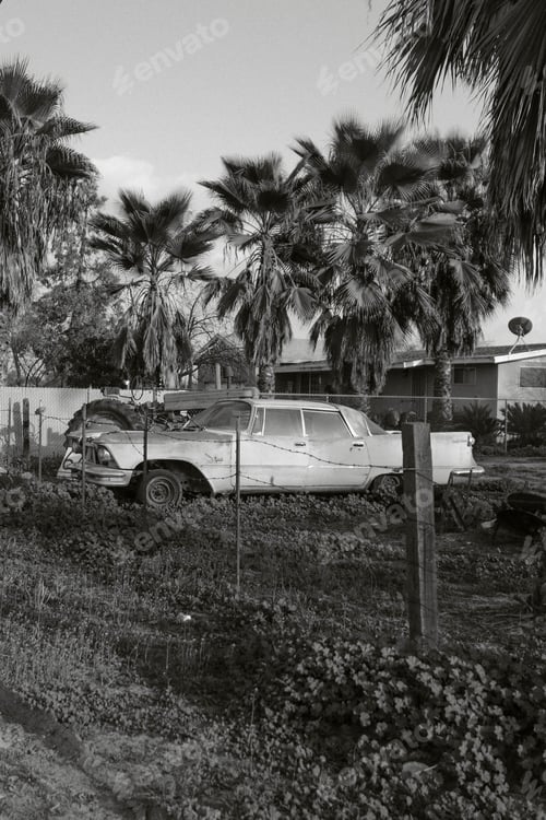 Preview: A Vertical Greyscale Of A Car Parked In A Garden Surrounded By Palm Trees And A House At Daytime