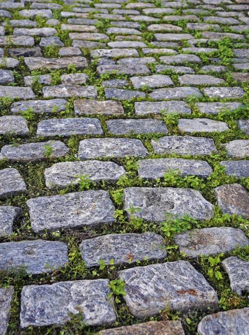 Preview: Cobblestone Background With Grass
