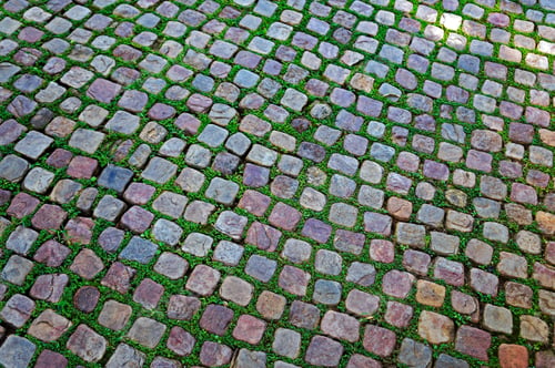 Preview: Cobblestone Background With Grass