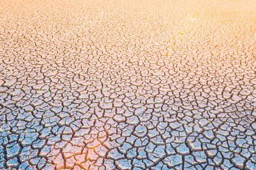 Preview: Cracked Earth Texture of a Dry Landscape