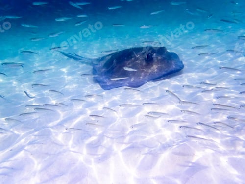 Preview: Los Roques, Wonderful Archipelago In Venezuela. Paradise Islands.