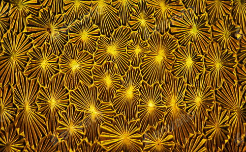 Preview: Yellow Textured Glass Surface