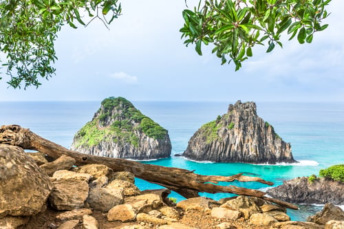 Preview: Fernando De Noronha, Brazil. View Of Morro Dos Dois Irmaos With Gains And Plants In The Foreground.