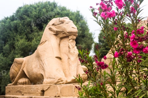 Preview: Luxor Temple, Karnak, Egypt. Africa.