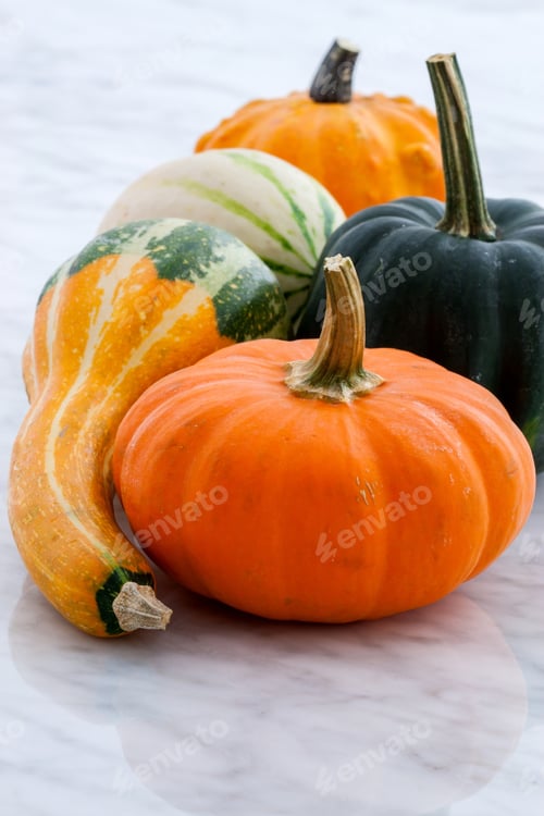 Preview: Beautiful Organic Assorted Pumpkins Or Summer Squash On Carrara Marble Countertop