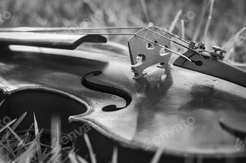 Preview: A Greyscale Closeup Of A Violin Laying On A Dry Grass With A Blurry Background
