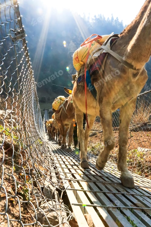Preview: Trekking To Everest Base Camp In Nepal. Asia.