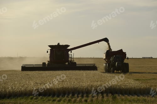 Preview: Harvester Machine, Harvesting In The Argentine Countryside, Buenos Aires Province, Argentina.