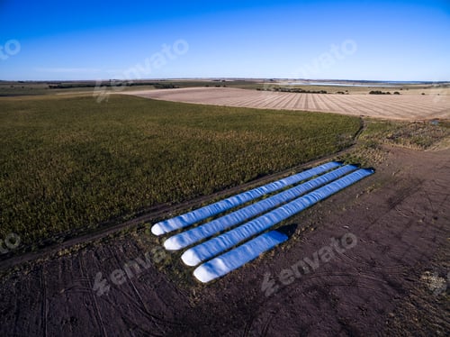 Preview: Silo Bag, Grain Storage In La Pampa, Argentina