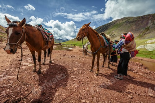 Preview: Muleteer Preparing The Cargo For The Road To The Mountain Of Seven Colors, Cusco Peru