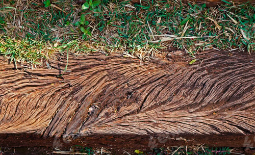 Preview: Wooden Step In The Park (Detail), Belo Horizonte, Brazil