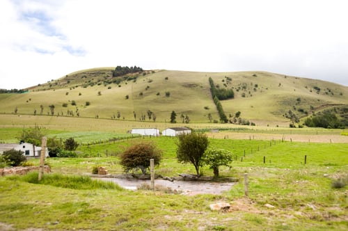 Preview: Colombian Fields, Cows, Farms And Mountains