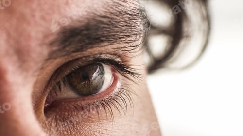 Preview: Close Up Of An Eye