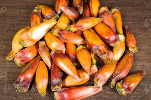 Preview: Pinion, Traditional Brazilian Food, Seed Of The Auraucaria.