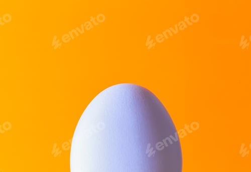 Preview: White Egg Isolated On Orange Background. Concept Photo
