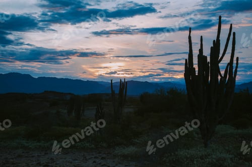 Preview: Amazing View In Desierto De La Tatacoa, Colombia