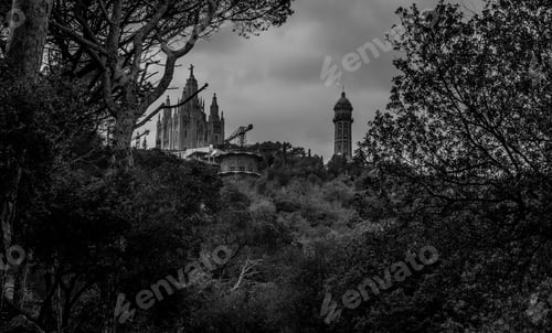 Preview: A Grayscale Shot Of A Historical Building Visible Through The Trees