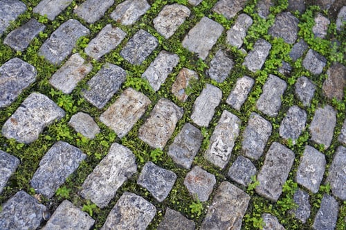 Preview: Cobblestone Background With Grass