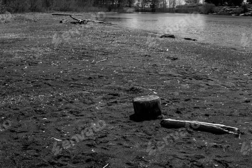 Preview: A Grayscale Shot Of Lake Shore With Twigs On The Ground