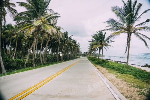 Preview: The Road, Sky And Palms In San Andrés