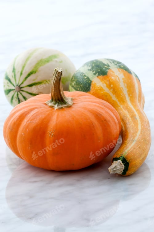 Preview: Beautiful Organic Assorted Pumpkins Or Summer Squash On Carrara Marble Countertop