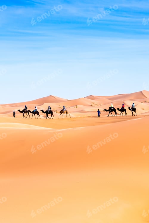 Preview: Merzouga In The Sahara Desert In Morocco