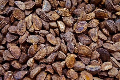 Preview: Brazil Nuts In The Market, Belo Horizonte, Minas Gerais