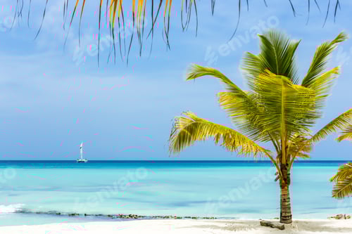 Preview: Tropical Beach As A Wild Nature Scenery In Punta Cana, Dominican Republic. Central America