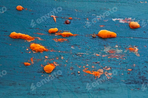 Preview: Orange Fungi On Wood Painted Green