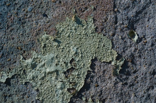 Preview: Wall With Peeling Paint, Paint Problem. Inadequate Paint System, Water Infiltration.