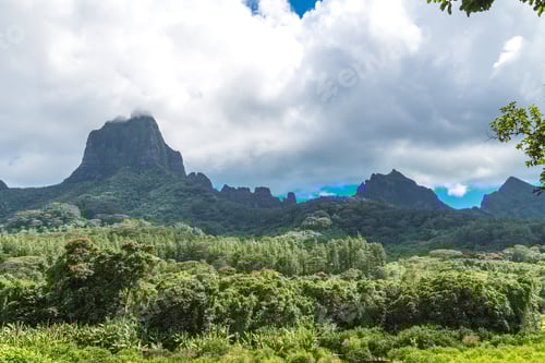 Preview: Moorea Island In The French Polynesia.