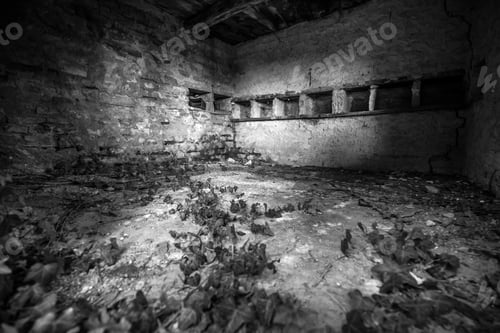 Preview: A Greyscale Shot Of Sn Old Abandoned Building With Weathered Walls